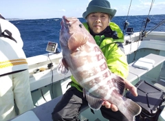 ハタの釣果