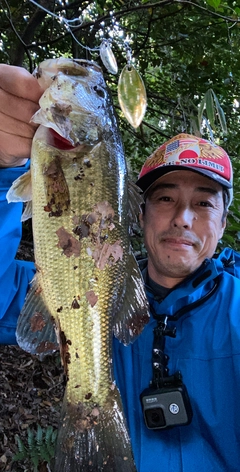 釣果