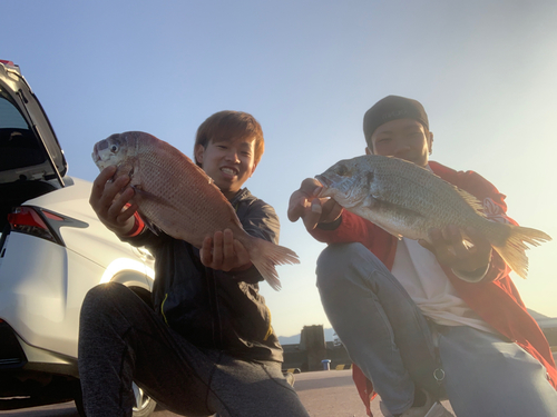 タイの釣果