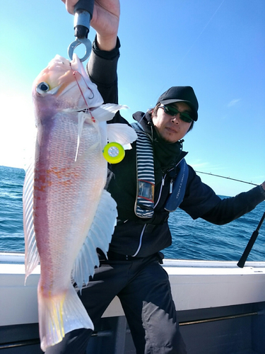 アマダイの釣果