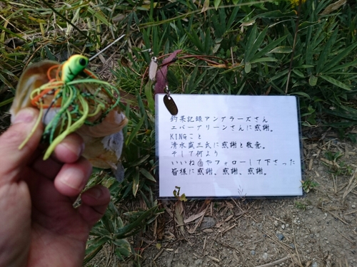 ブラックバスの釣果