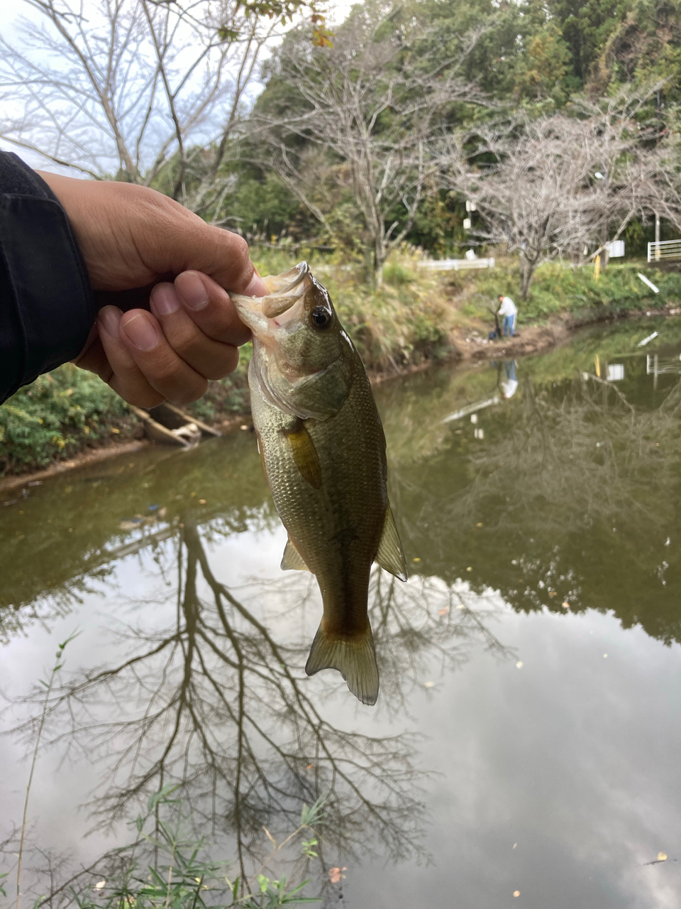 ブラックバス