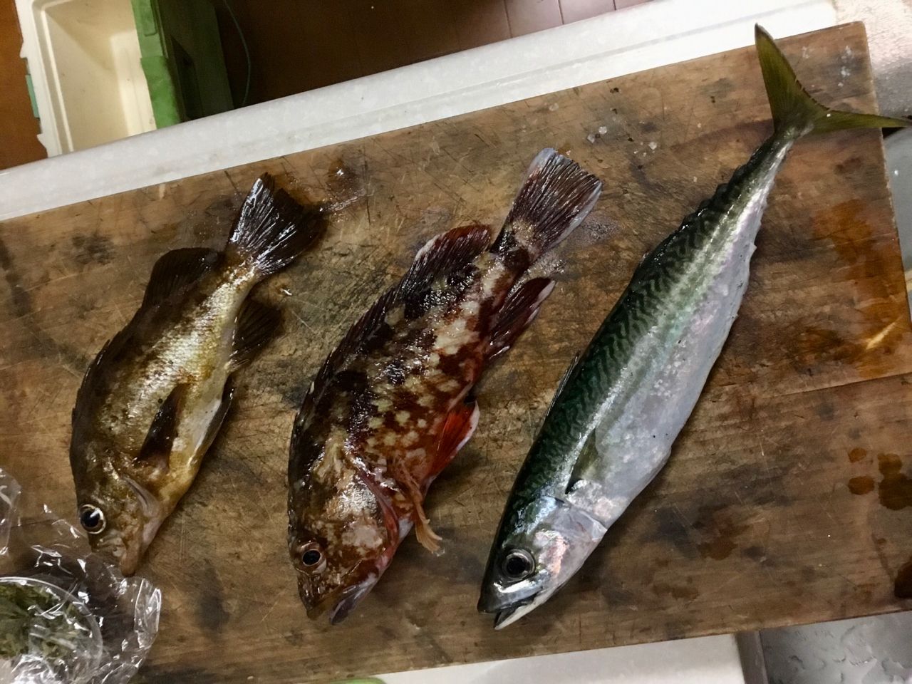 サバ