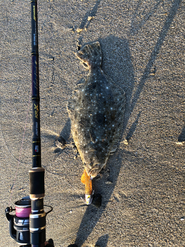 ソゲの釣果