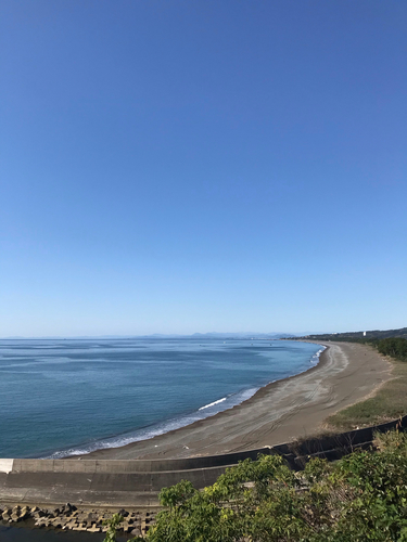 ソゲの釣果