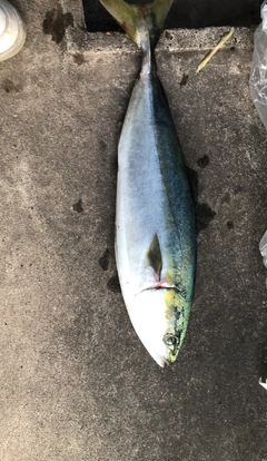 釣果