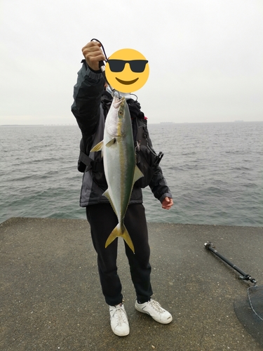 メジロの釣果