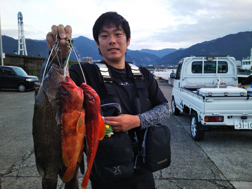 オオモンハタの釣果