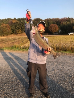 ヤシオマスの釣果