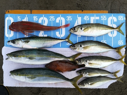 釣果