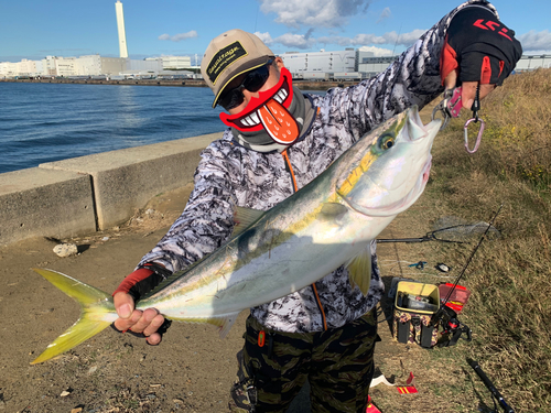 メジロの釣果