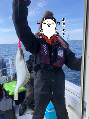 ヒラメの釣果