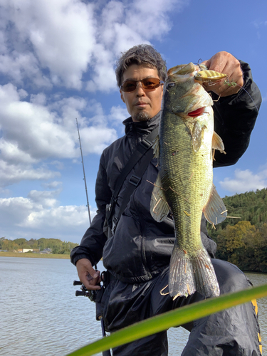 ブラックバスの釣果