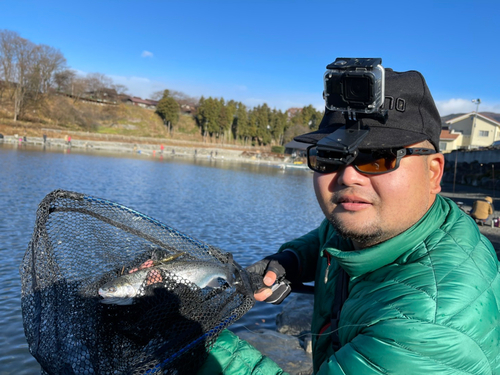 ニジマスの釣果