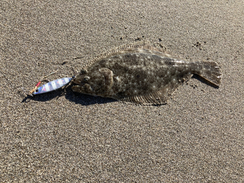 ソゲの釣果