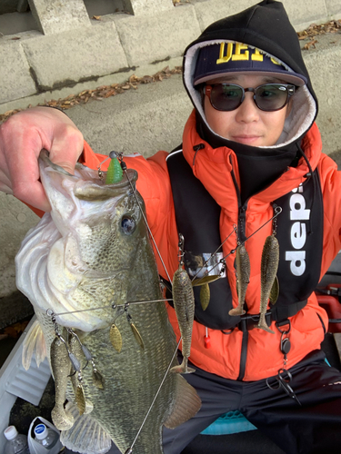 ブラックバスの釣果