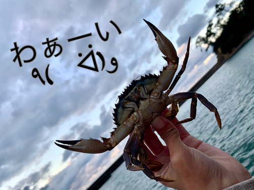 タイワンガザミの釣果