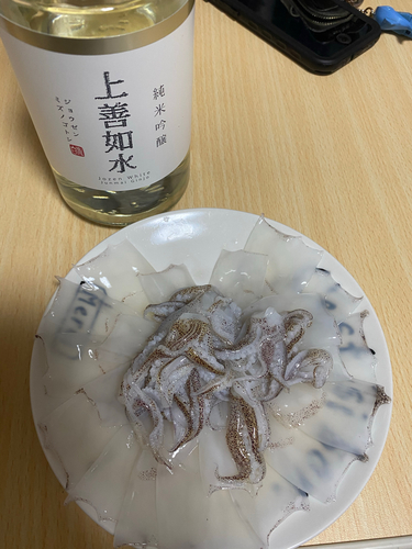 ヒイカの釣果