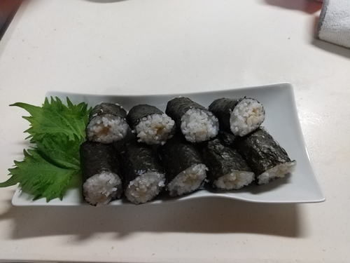 ドンコの釣果