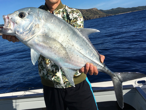 GTの釣果