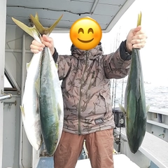 ハマチの釣果