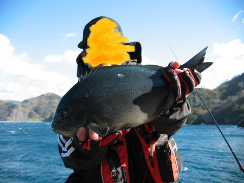 クチブトグレの釣果