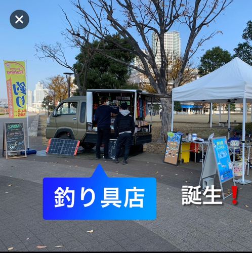 カタクチイワシの釣果