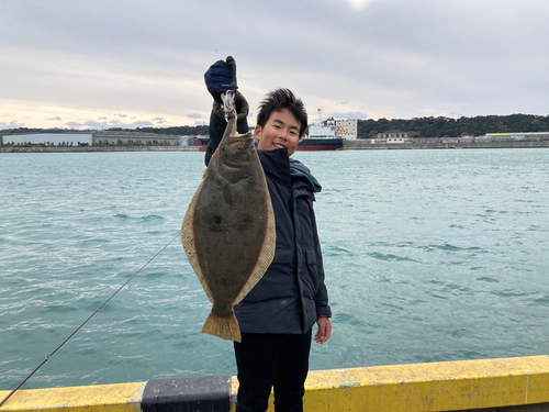 ヒラメの釣果