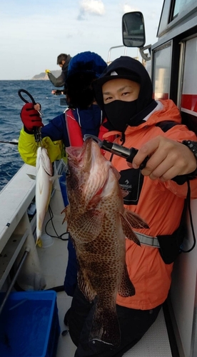 オオモンハタの釣果