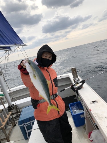 ハマチの釣果