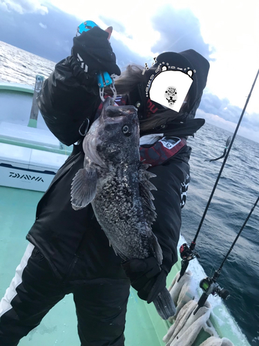 クロソイの釣果