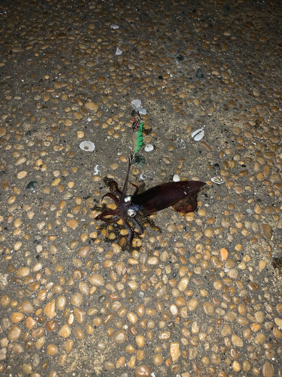 ヒイカ