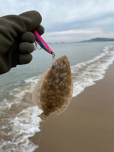 ソゲの釣果