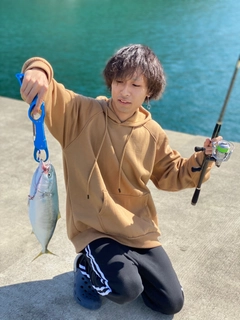 イナダの釣果