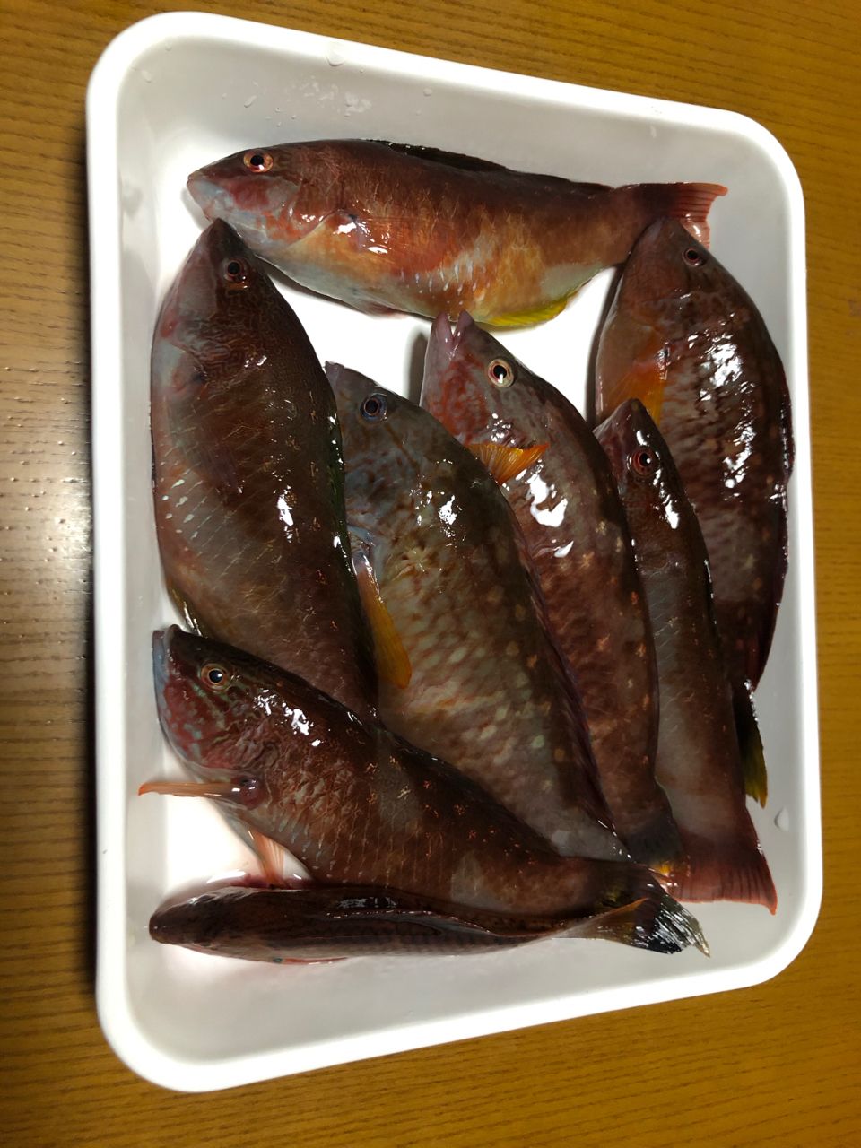 ベラ