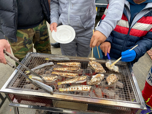 カマスの釣果