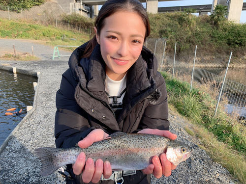 ニジマスの釣果