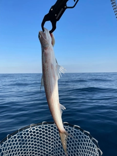 マエソの釣果