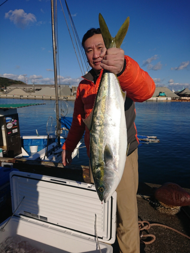 メジロの釣果