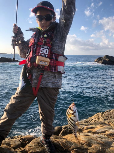 タカノハダイの釣果