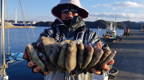 カワハギの釣果