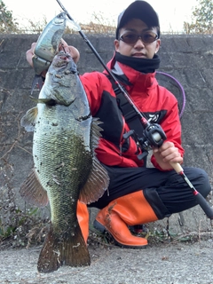 ブラックバスの釣果