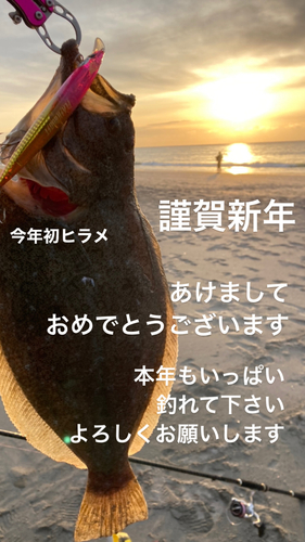 ヒラメの釣果