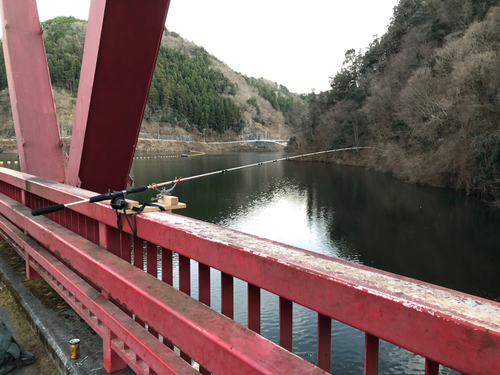 ワカサギの釣果