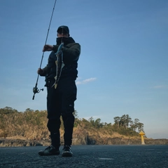 エソの釣果