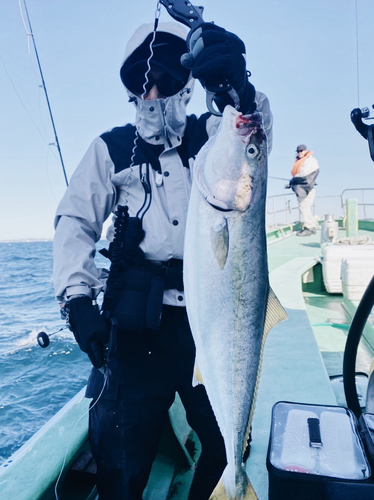 イナダの釣果