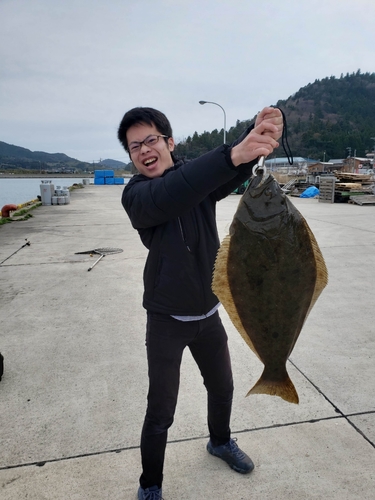 ヒラメの釣果