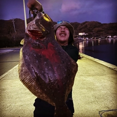 ヒラメの釣果