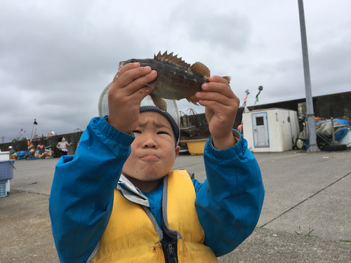 ガヤの釣果