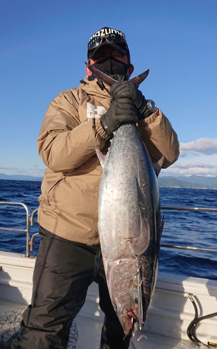 ビンチョウマグロの釣果